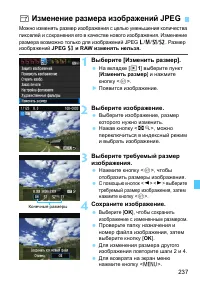 Страница 237