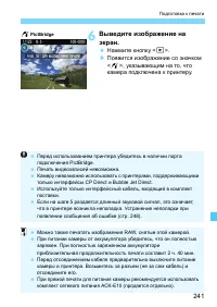 Страница 241