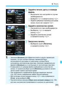 Страница 245