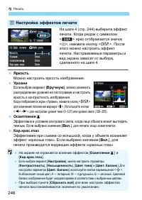 Страница 246