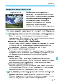 Страница 247