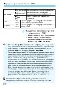 Страница 250