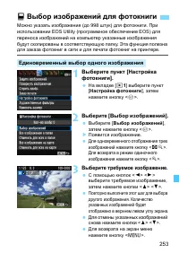 Страница 253