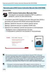 Страница 316