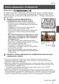 Страница 37