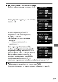 Страница 243
