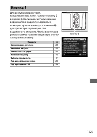 Страница 255