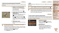 Страница 49