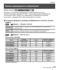 Страница 31