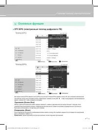Страница 43