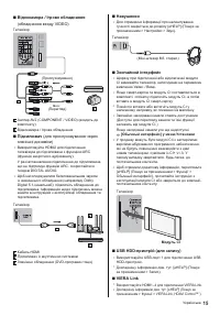 Страница 43