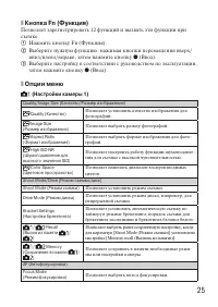 Страница 25