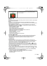 Страница 65