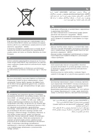 Страница 55