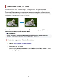 Страница 244