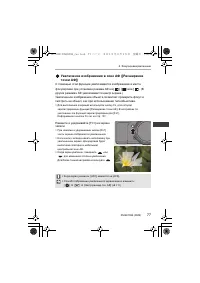 Страница 77