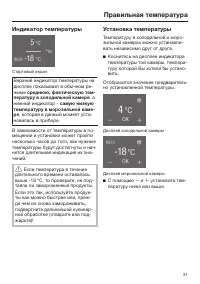 Страница 31