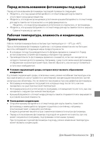 Страница 31
