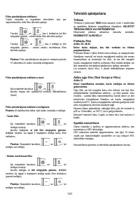 Страница 121