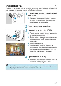 Страница 247