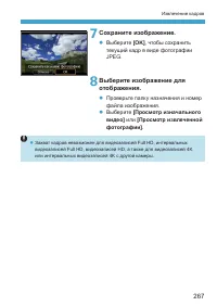 Страница 267