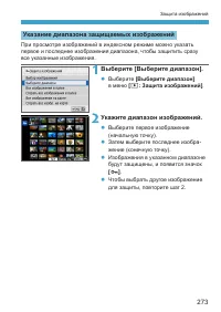 Страница 273