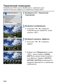 Страница 294