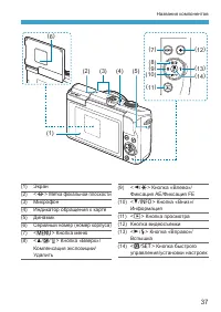 Страница 37