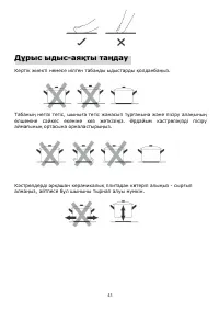 Страница 43