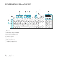 Страница 42