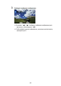 Страница 460