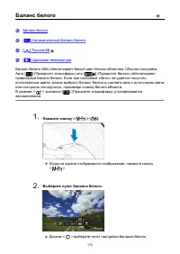 Страница 176
