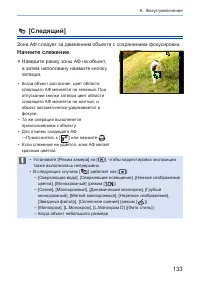 Страница 133