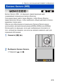 Страница 215