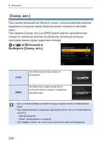 Страница 232