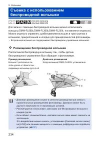 Страница 234