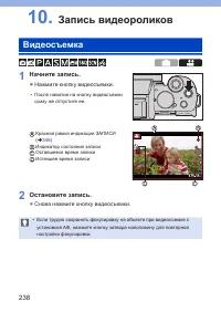 Страница 238