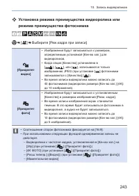Страница 243