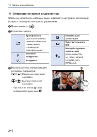 Страница 246