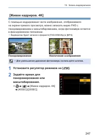 Страница 247