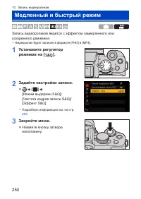Страница 250