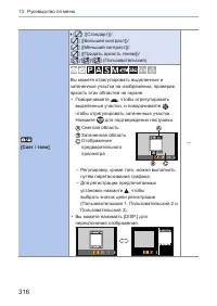 Страница 316
