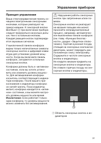 Страница 31