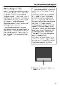 Страница 43