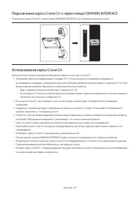Страница 29