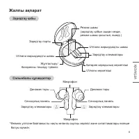 Страница 55