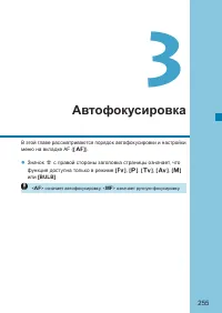 Страница 255
