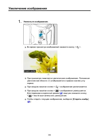 Страница 386