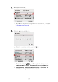 Страница 247