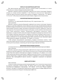 Страница 17